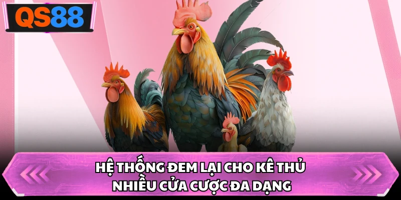 Hệ thống đem lại cho kê thủ nhiều cửa cược đa dạng